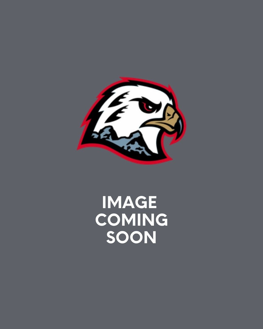 Kellan Tochkin, Head Coach image